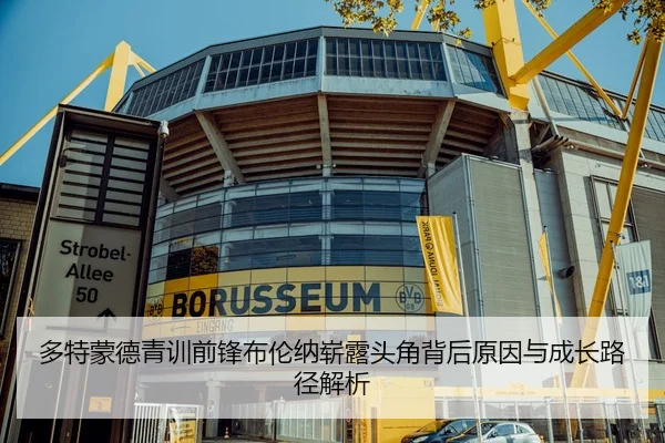 多特蒙德青训前锋布伦纳崭露头角背后原因与成长路径解析