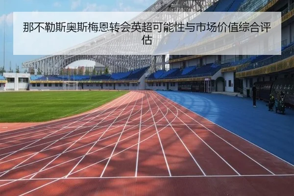 那不勒斯奥斯梅恩转会英超可能性与市场价值综合评估